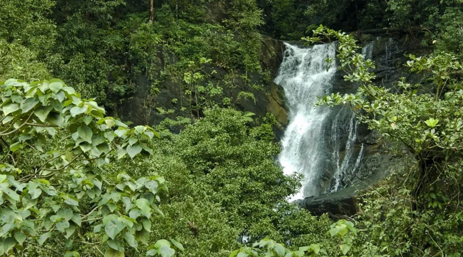 Kadambi Waterfall